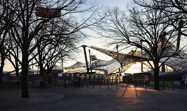 沙特市場