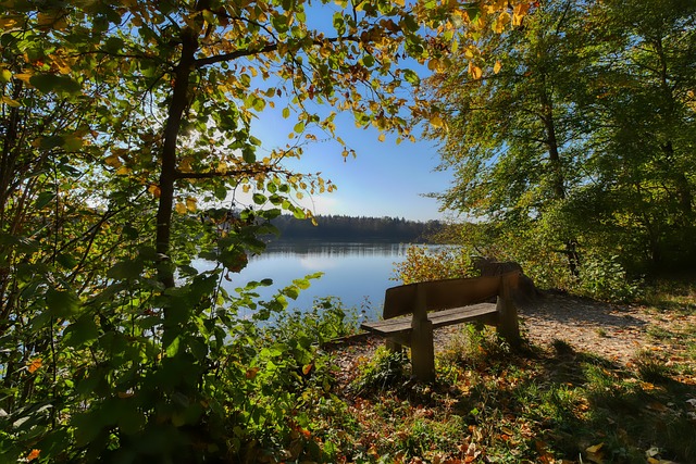 他们通过有 他们通过有