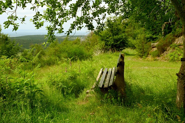 重中之重 重中之重