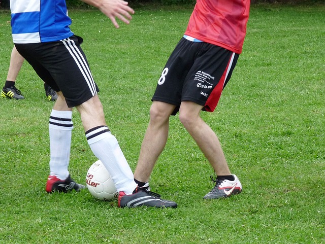 苏女排在主 苏女排在主